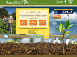 Charity Web Design Design Example