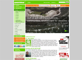 Charity Web Design Design Example