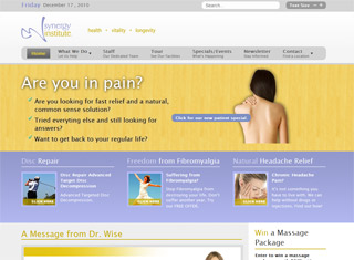 Chiropractor Web Design Design Example