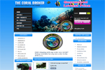 Ecommerce Web Design
