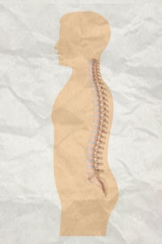 about chiropractor web design