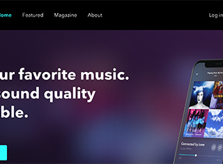 Music Web Design Design Example