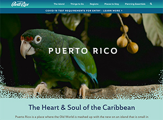 Travel Web Design Design Example