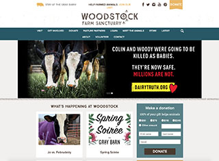 Agriculture Web Design Design Example