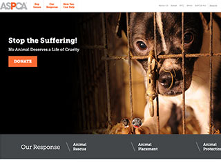 Charity Web Design Design Example