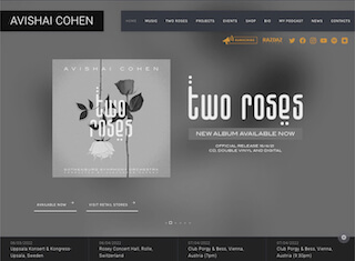 Music Web Design Design Example