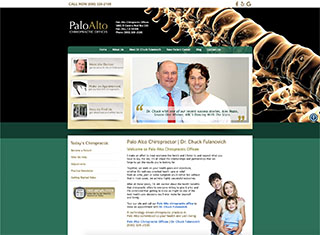 Chiropractor Web Design Design Example