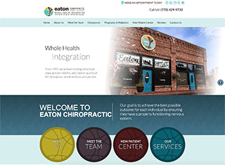 Chiropractor Web Design Design Example