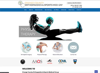 Chiropractor Web Design Design Example