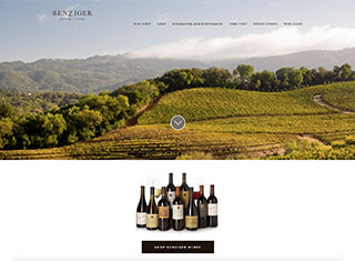 Agriculture Web Design Design Example