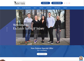 Chiropractor Web Design Design Example