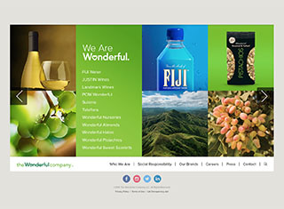 Business Web Design Design Example