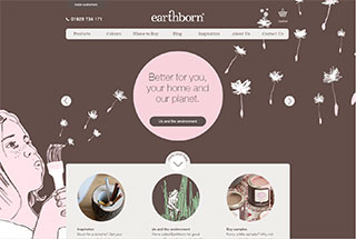 Promotional Web Design Design Example