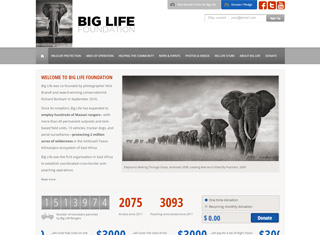 Charity Web Design Design Example