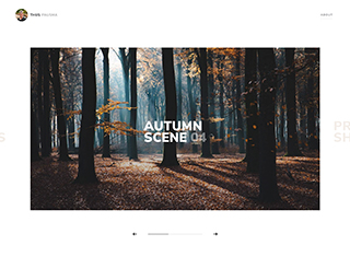 Photography Web Design Design Example