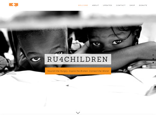 Charity Web Design Design Example