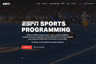 Sports Web Design Design Example