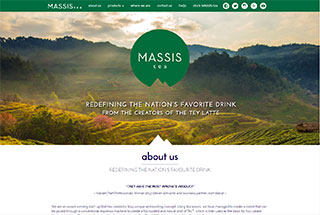 Promotional Web Design Design Example
