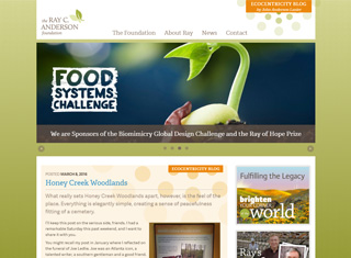 Charity Web Design Design Example