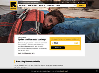 Charity Web Design Design Example