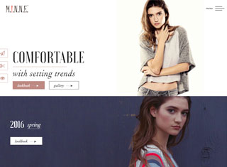 Fashion Web Design Design Example