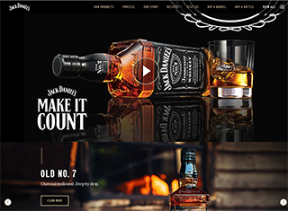 Promotional Web Design Design Example