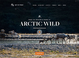 Travel Web Design Design Example