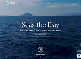 Travel Web Design Design Example