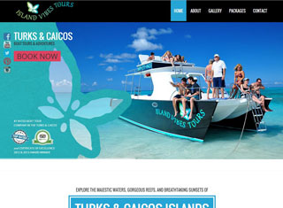 Travel Web Design Design Example