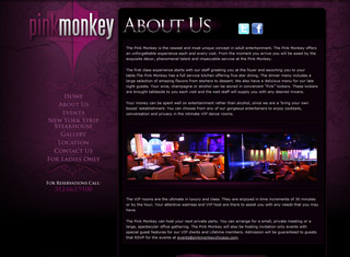 Night Club Web Design Design Example