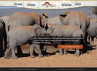 Travel Web Design Design Example