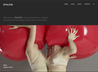 Entertainment Web Design Design Example