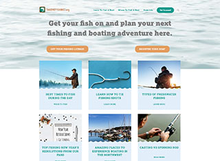 Sports Web Design Design Example