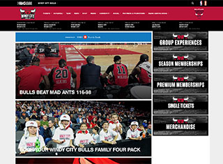 Sports Web Design Design Example