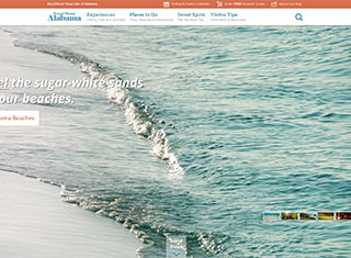 Travel Web Design Design Example