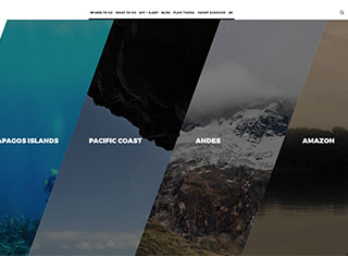 Travel Web Design Design Example