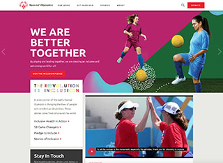 Charity Web Design Design Example