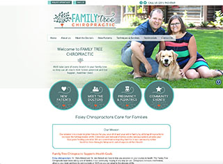 Chiropractor Web Design Design Example