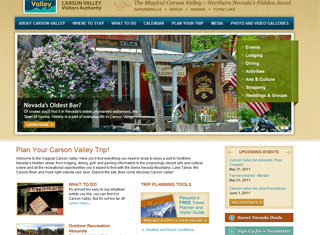 Travel Web Design Design Example