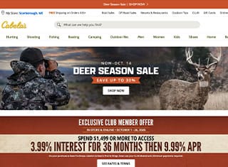 Ecommerce Web Design Design Example