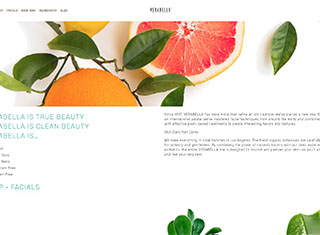 Salon / Spa Web Design Design Example