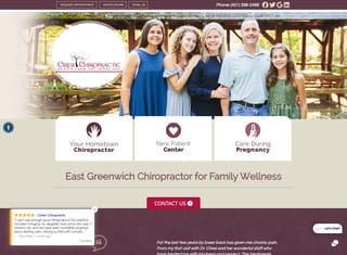 Chiropractor Web Design Design Example