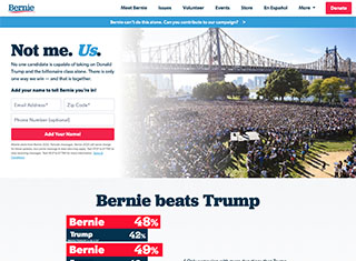 Political Web Design Design Example