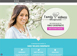 Chiropractor Web Design Design Example