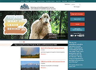 Charity Web Design Design Example