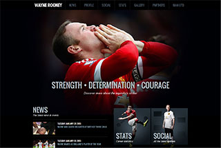 Sports Web Design Design Example