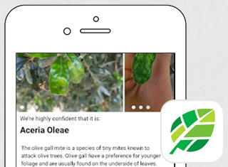 Agriculture App Development Design Example