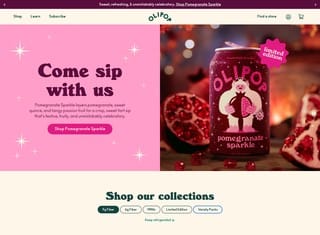 Ecommerce Web Design Design Example