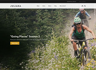 Sports Web Design Design Example