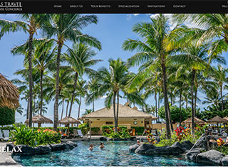 Travel Web Design Design Example